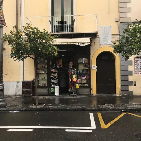 Rosa Magra Sorrento